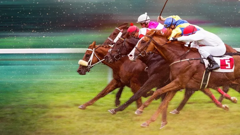 Race for the Crown - I Re delle Corse di Cavalli streaming ita