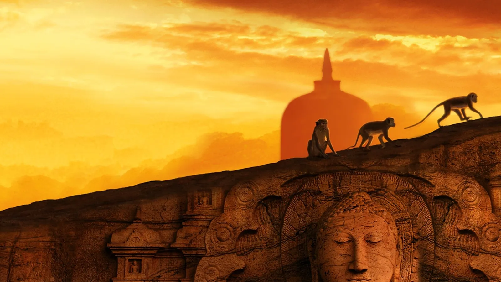 Monkey Kingdom streaming ita