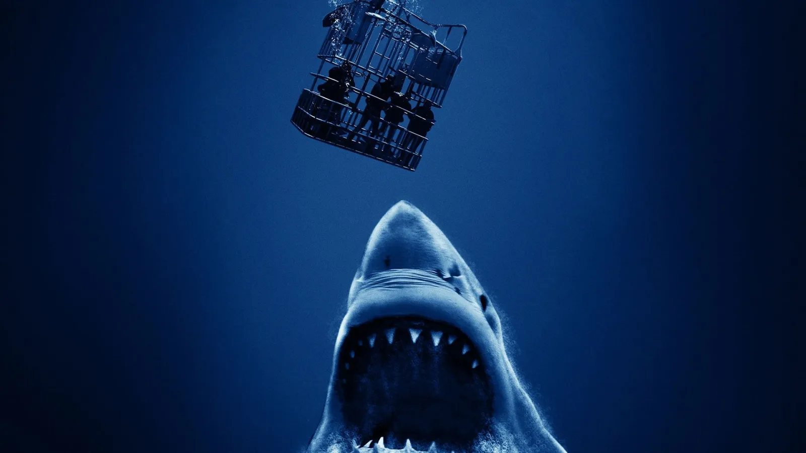 Open Water 3 - Cage Dive streaming ita