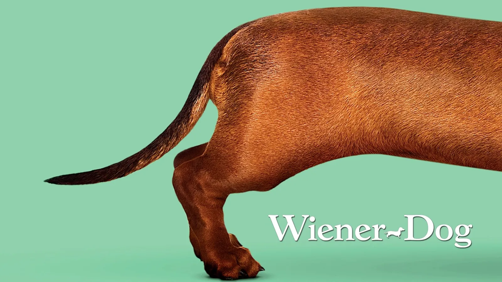 Wiener-Dog streaming ita