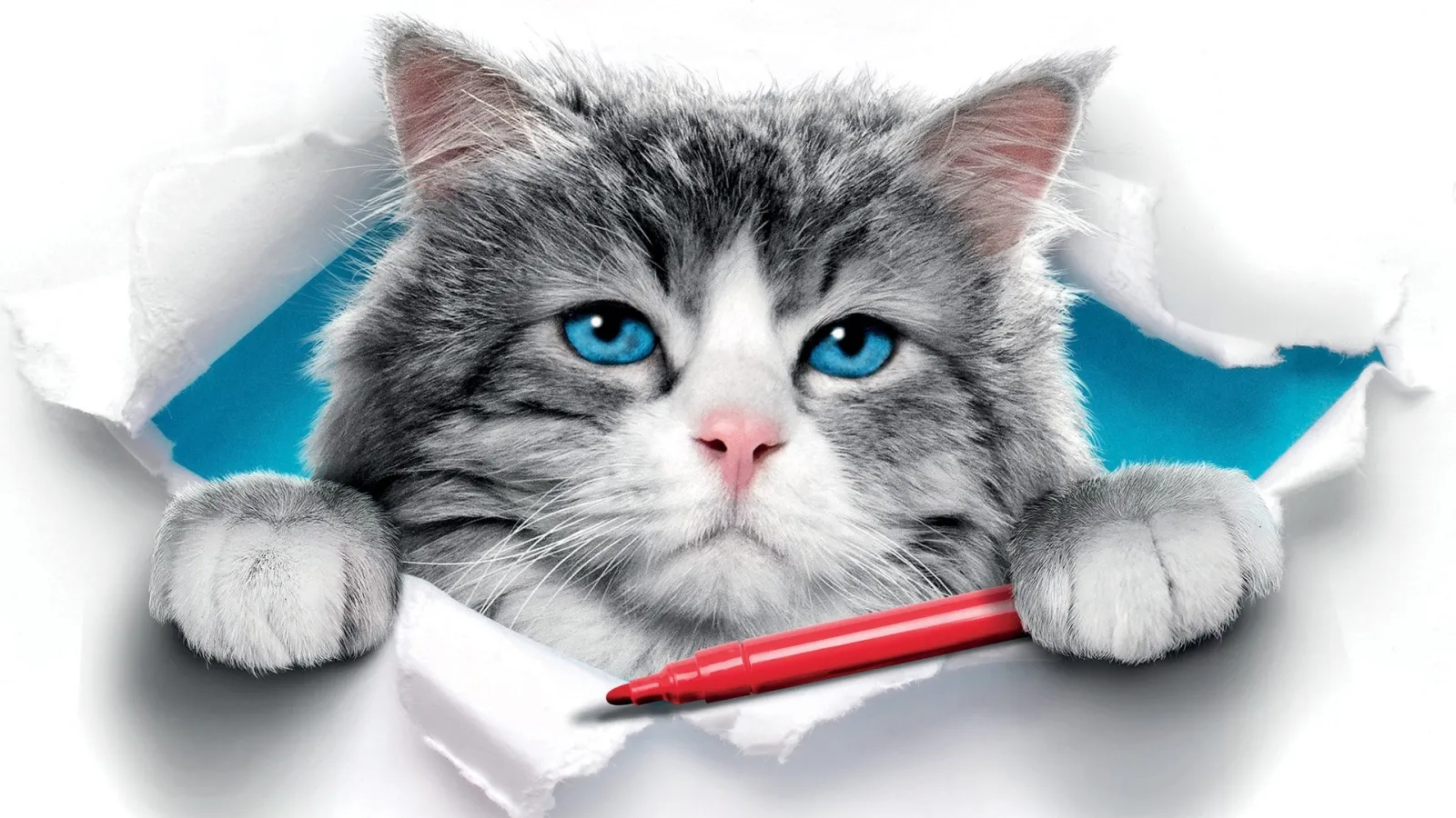 Nine Lives - Una vita da gatto streaming ita