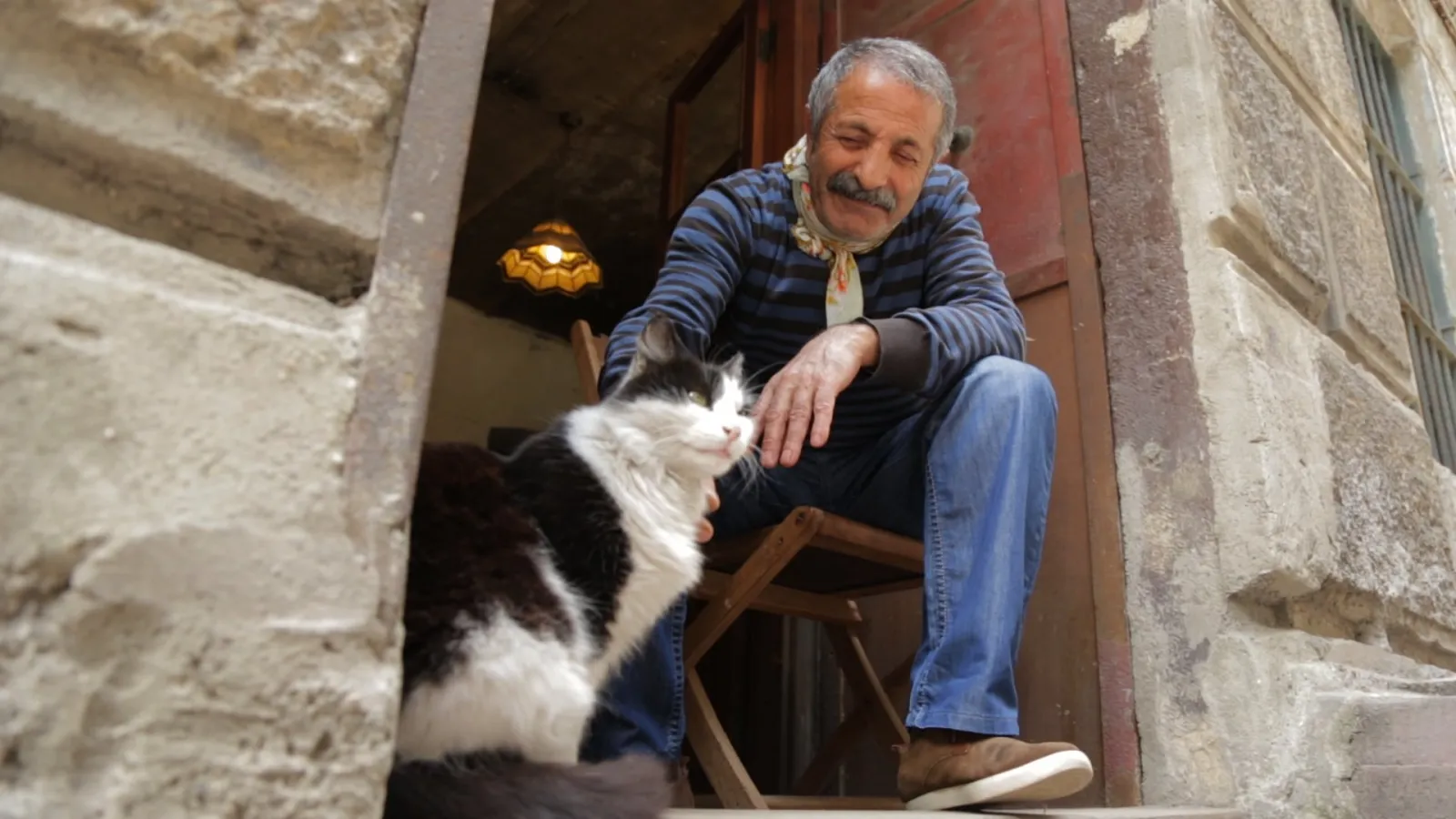 Kedi - La città dei gatti streaming ita