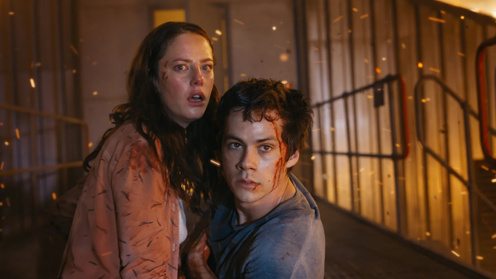 Maze Runner - La rivelazione streaming ita