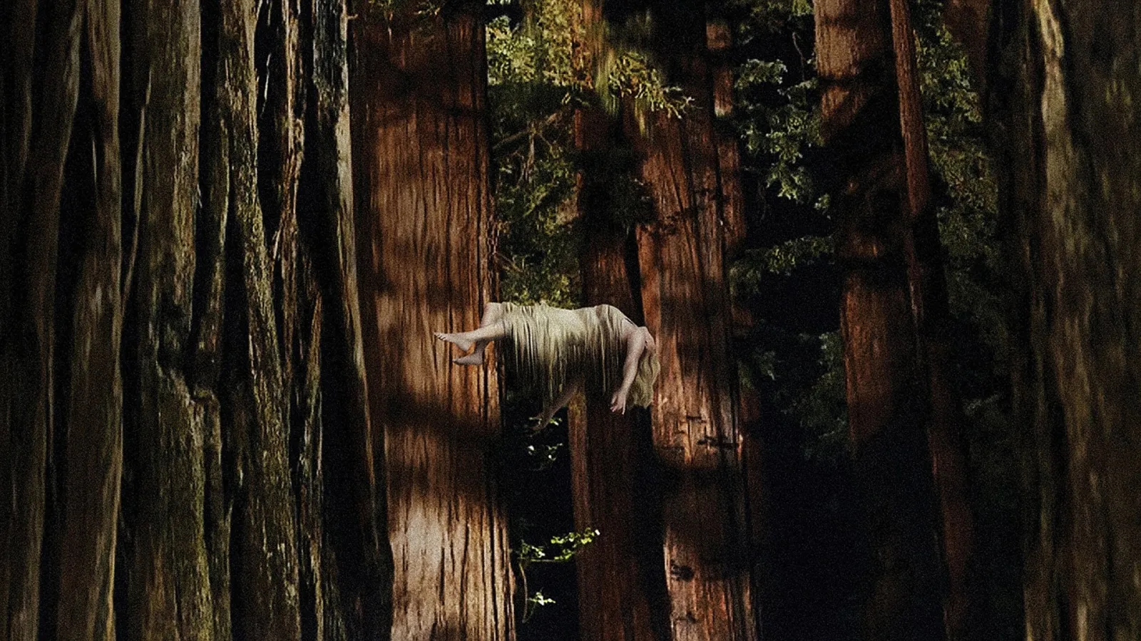 Woodshock streaming ita
