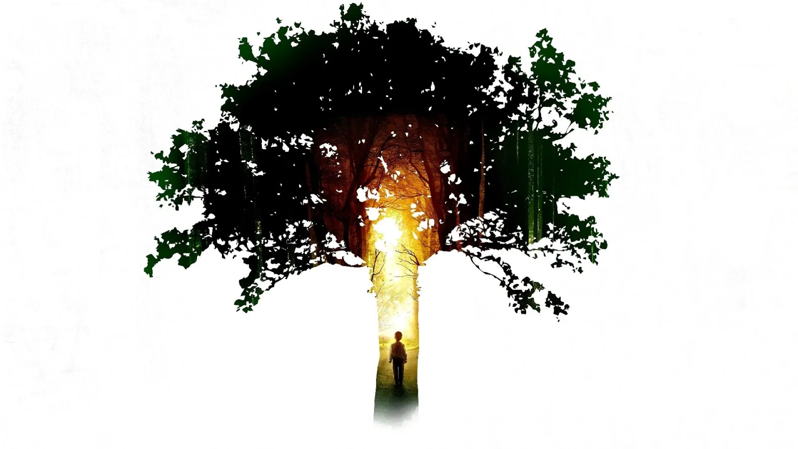In fondo al bosco streaming ita