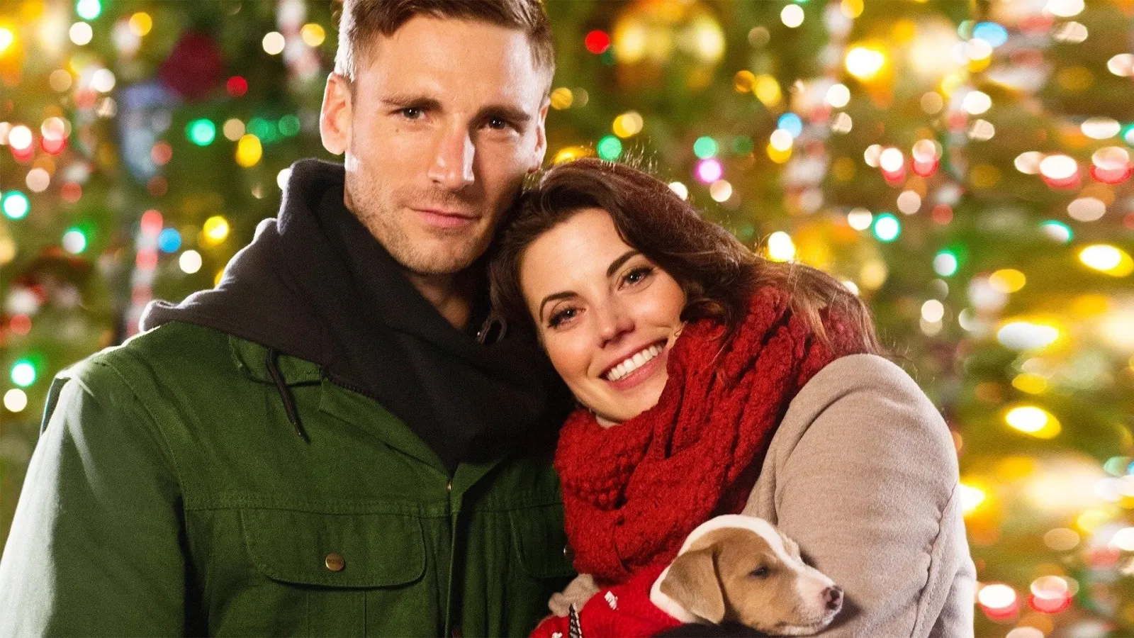 Quel complicato viaggio di Natale streaming ita