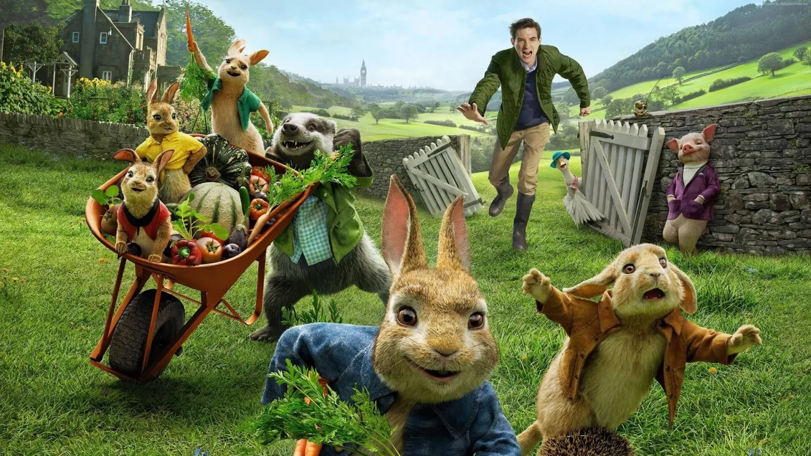 Peter Rabbit streaming ita