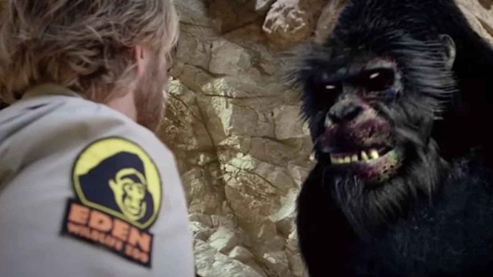 Zoombies streaming ita