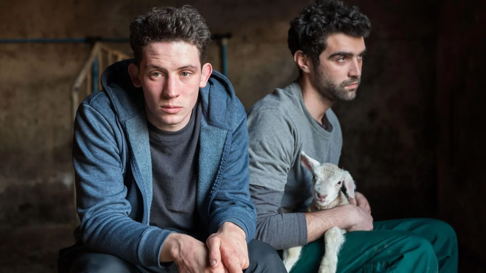 God's Own Country streaming ita