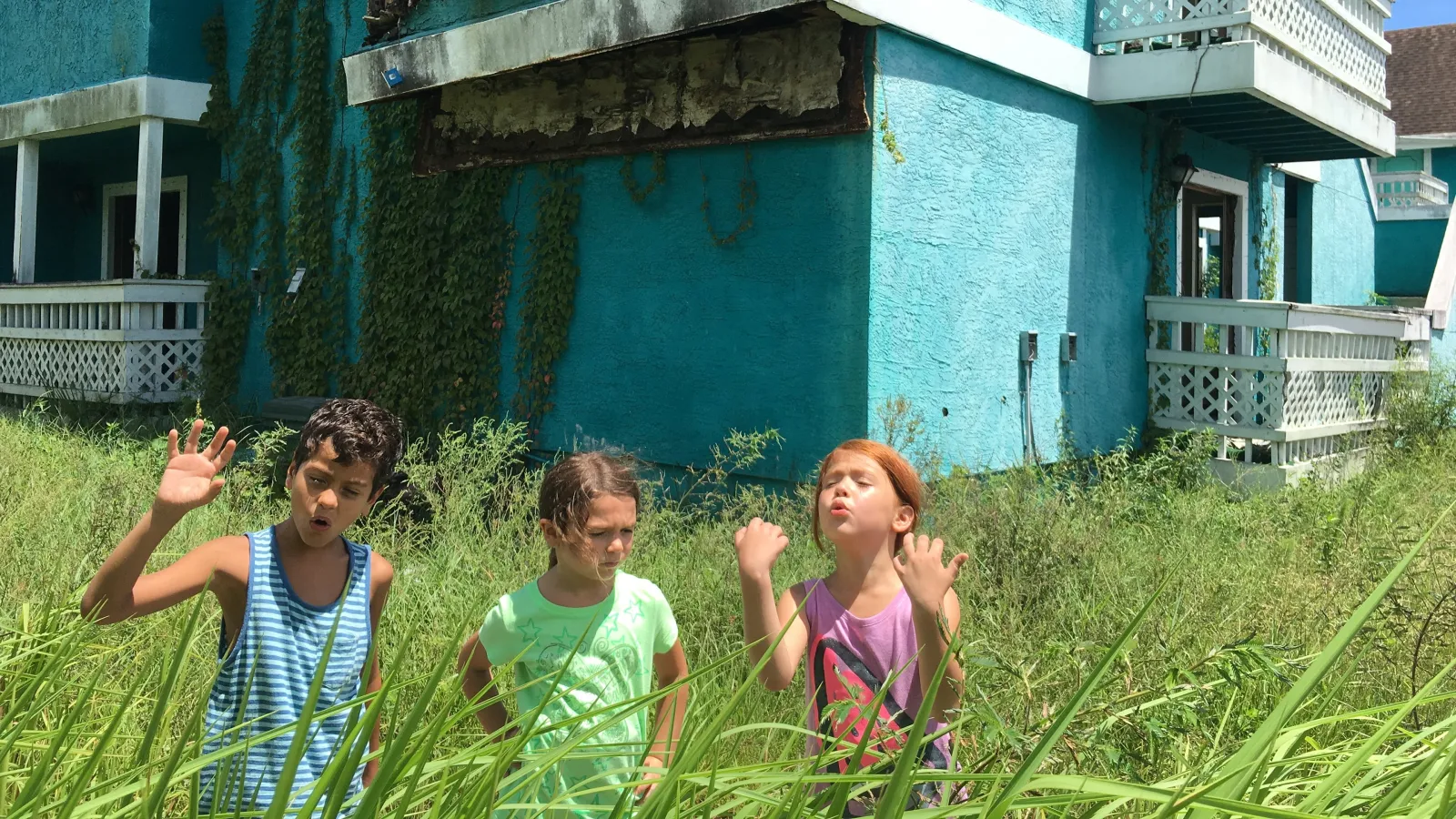 Un sogno chiamato Florida streaming ita