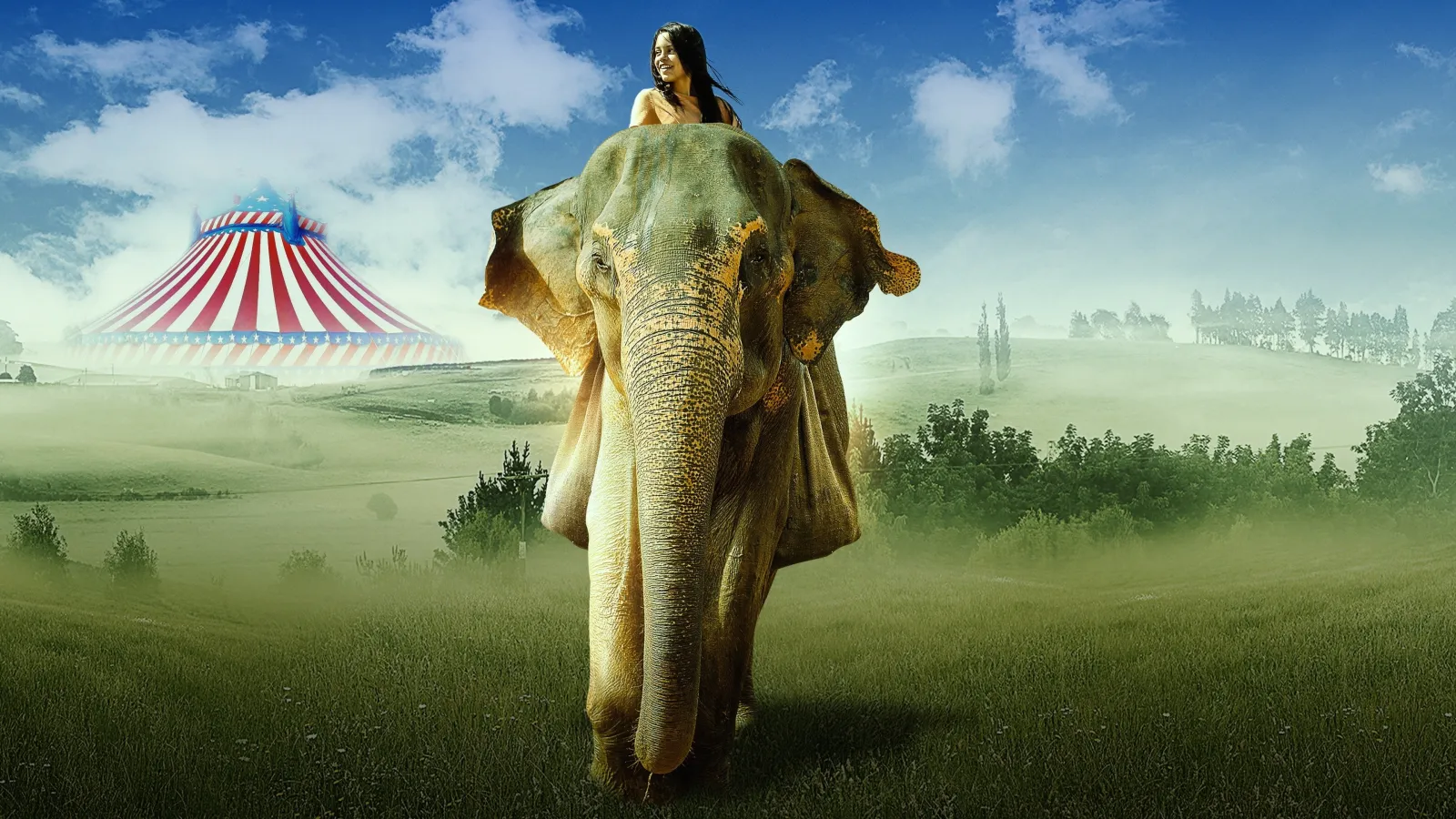 In viaggio con Flora streaming ita