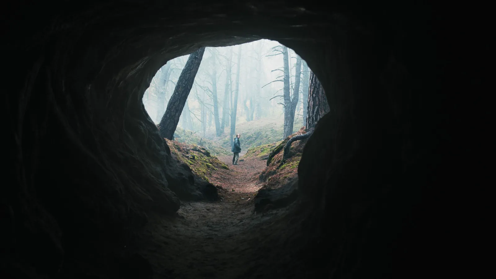 Dark - I segreti di Winden streaming ita