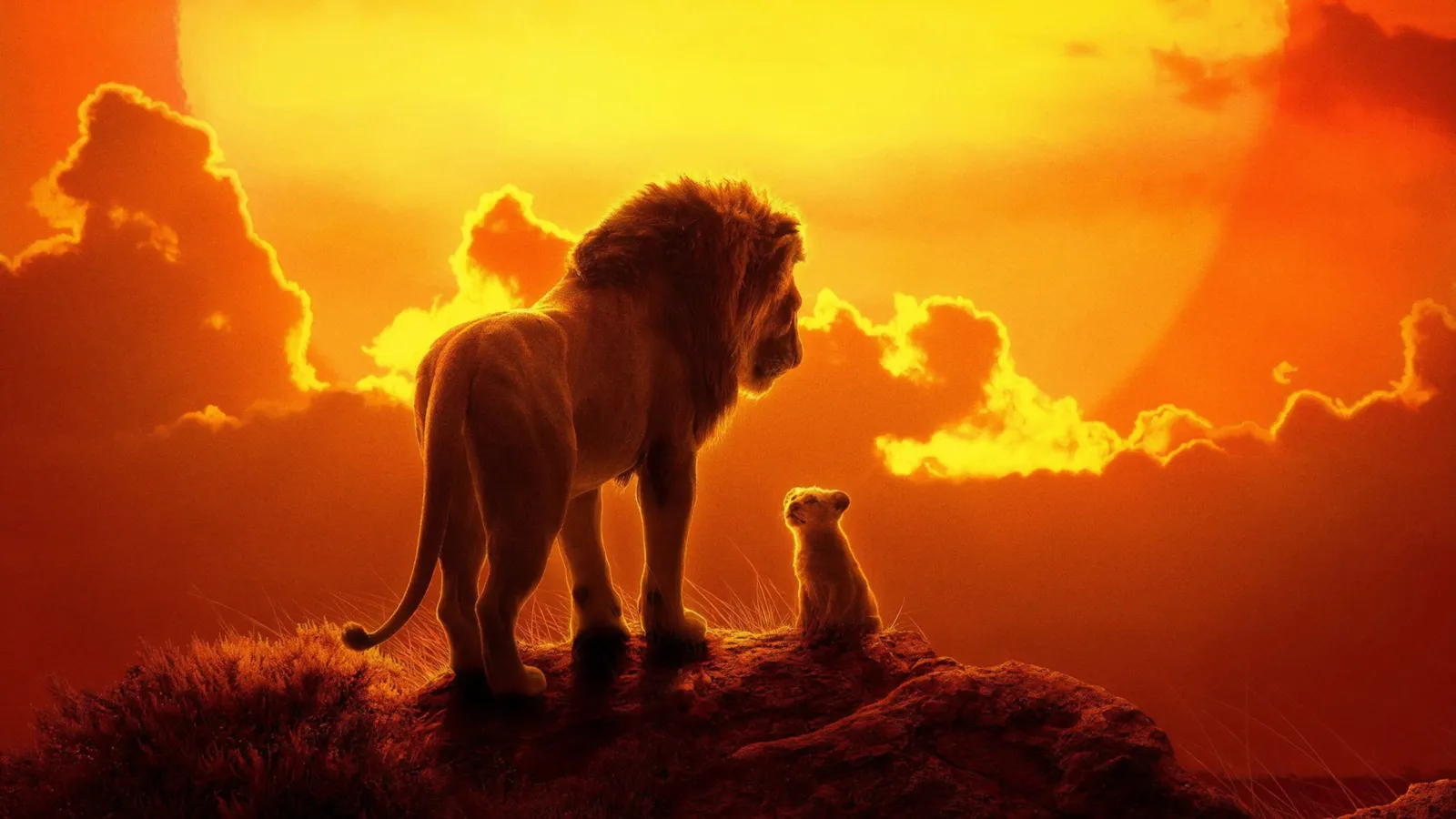 Il Re Leone (2019) streaming ita