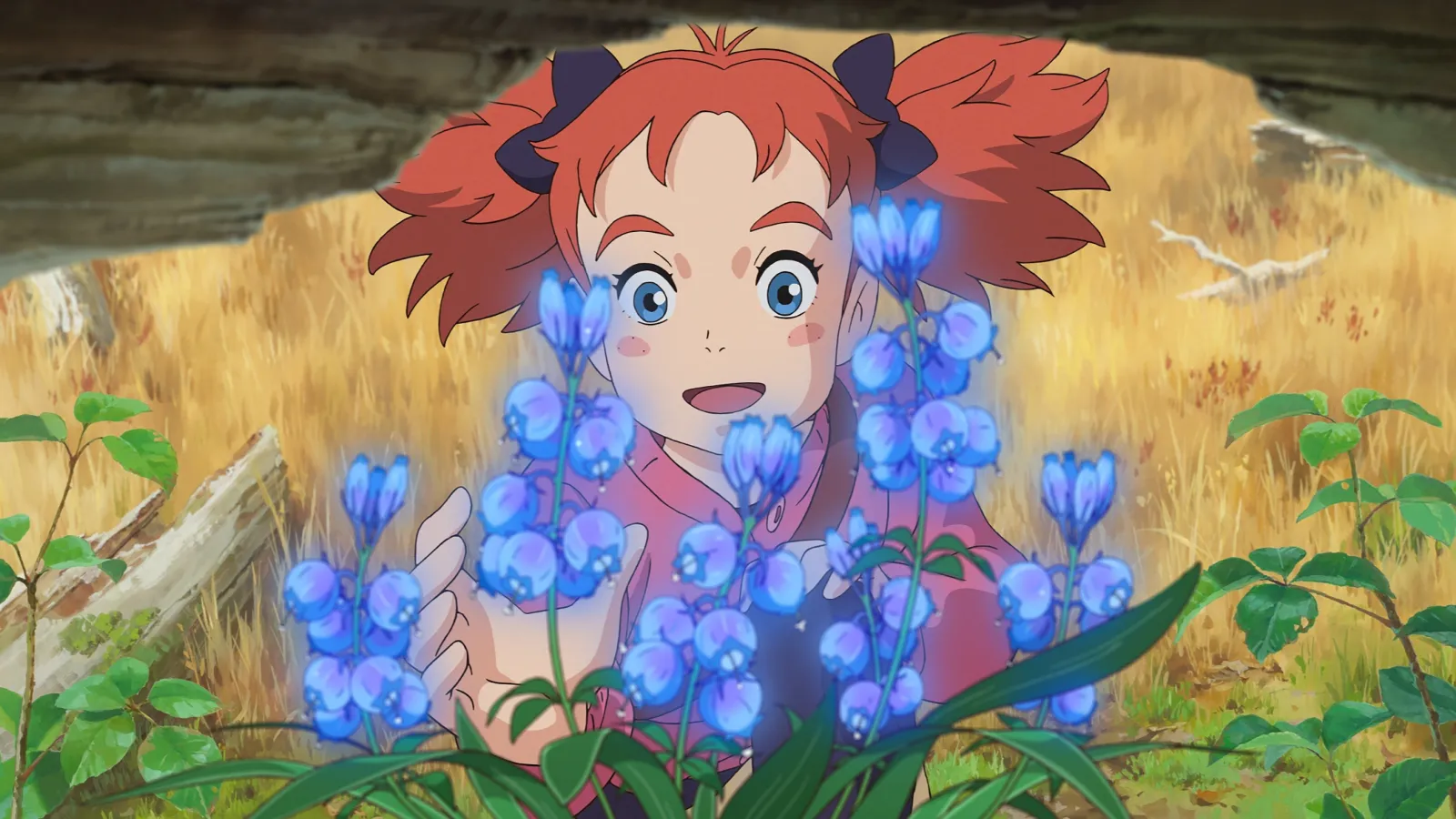 Mary e il fiore della strega streaming ita