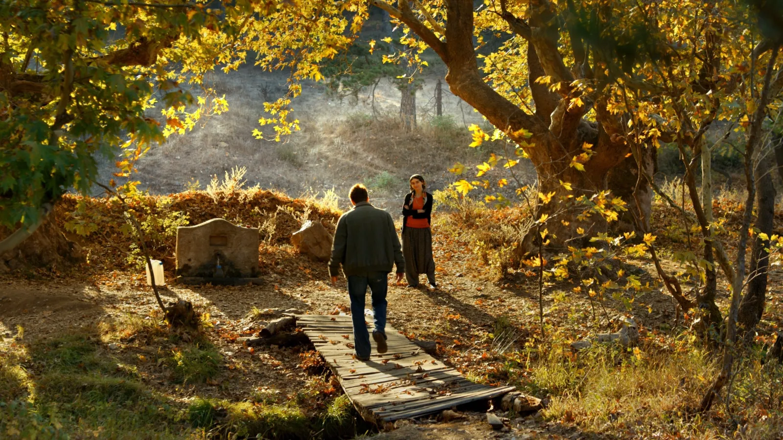 L'albero dei frutti selvatici streaming ita