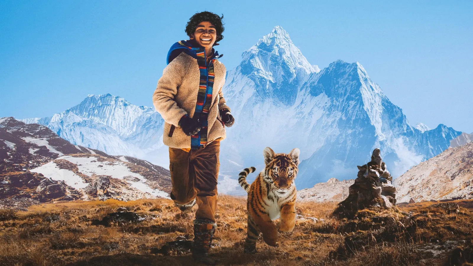 Il ragazzo e la tigre streaming ita