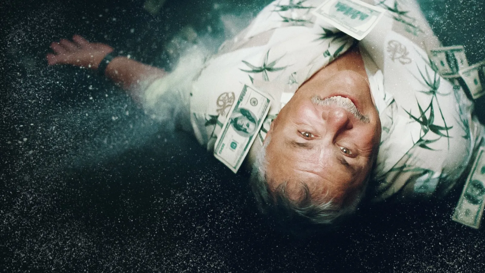 The Legend of Cocaine Island streaming ita