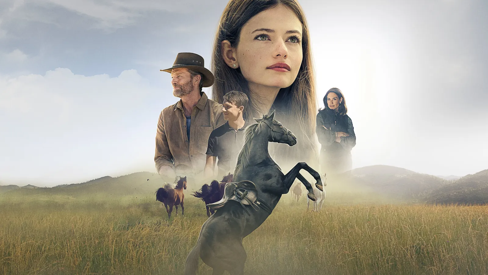 Black Beauty - Autobiografia di un cavallo streaming ita