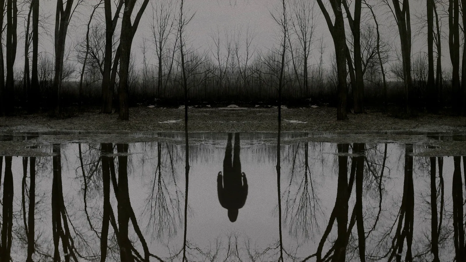The Outsider streaming ita