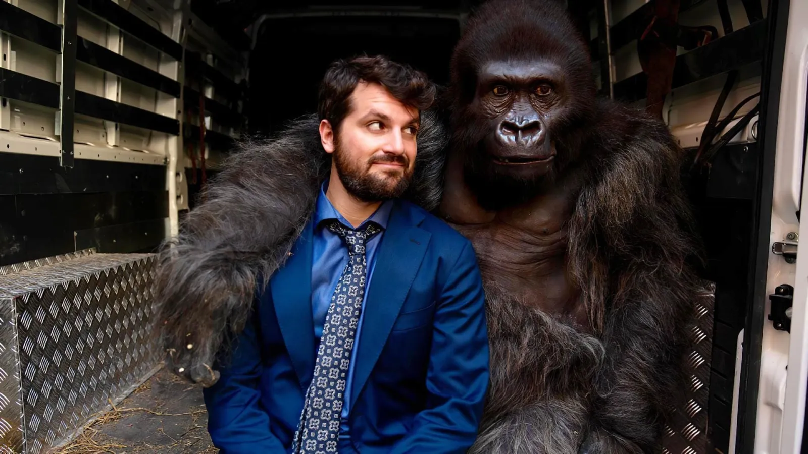 Attenti al gorilla streaming ita