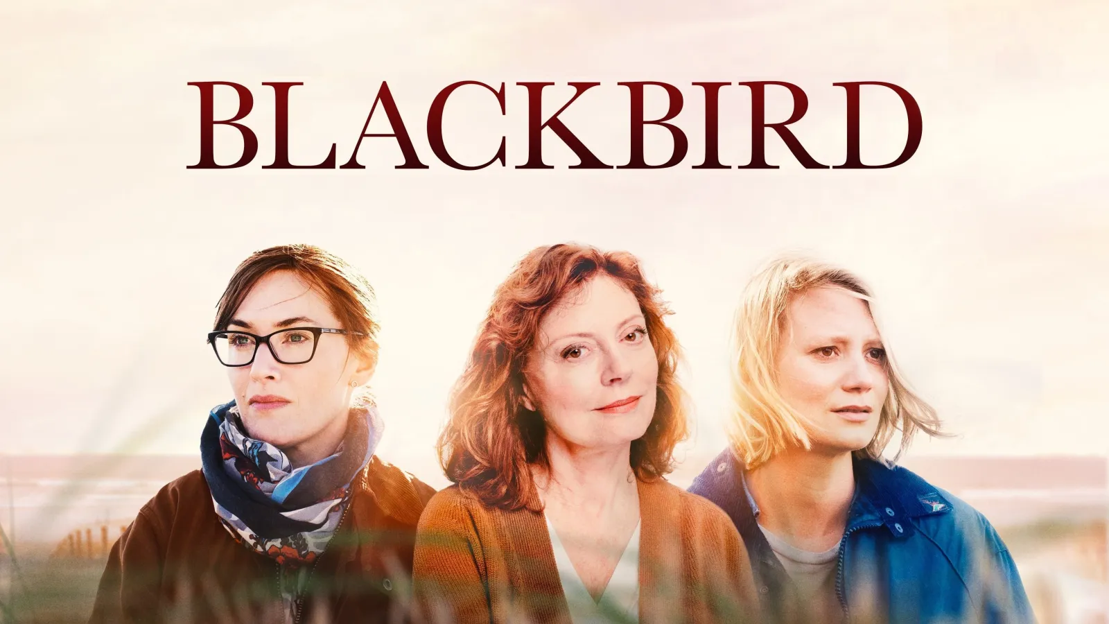 Blackbird - L'ultimo abbraccio streaming ita