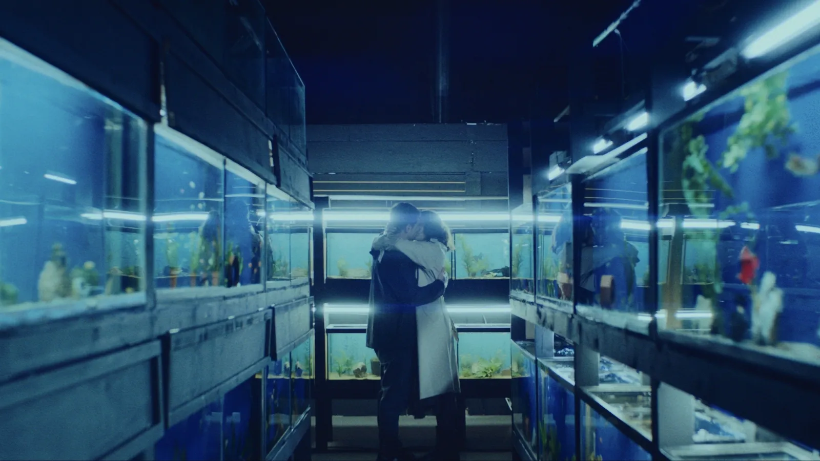 Little Fish streaming ita