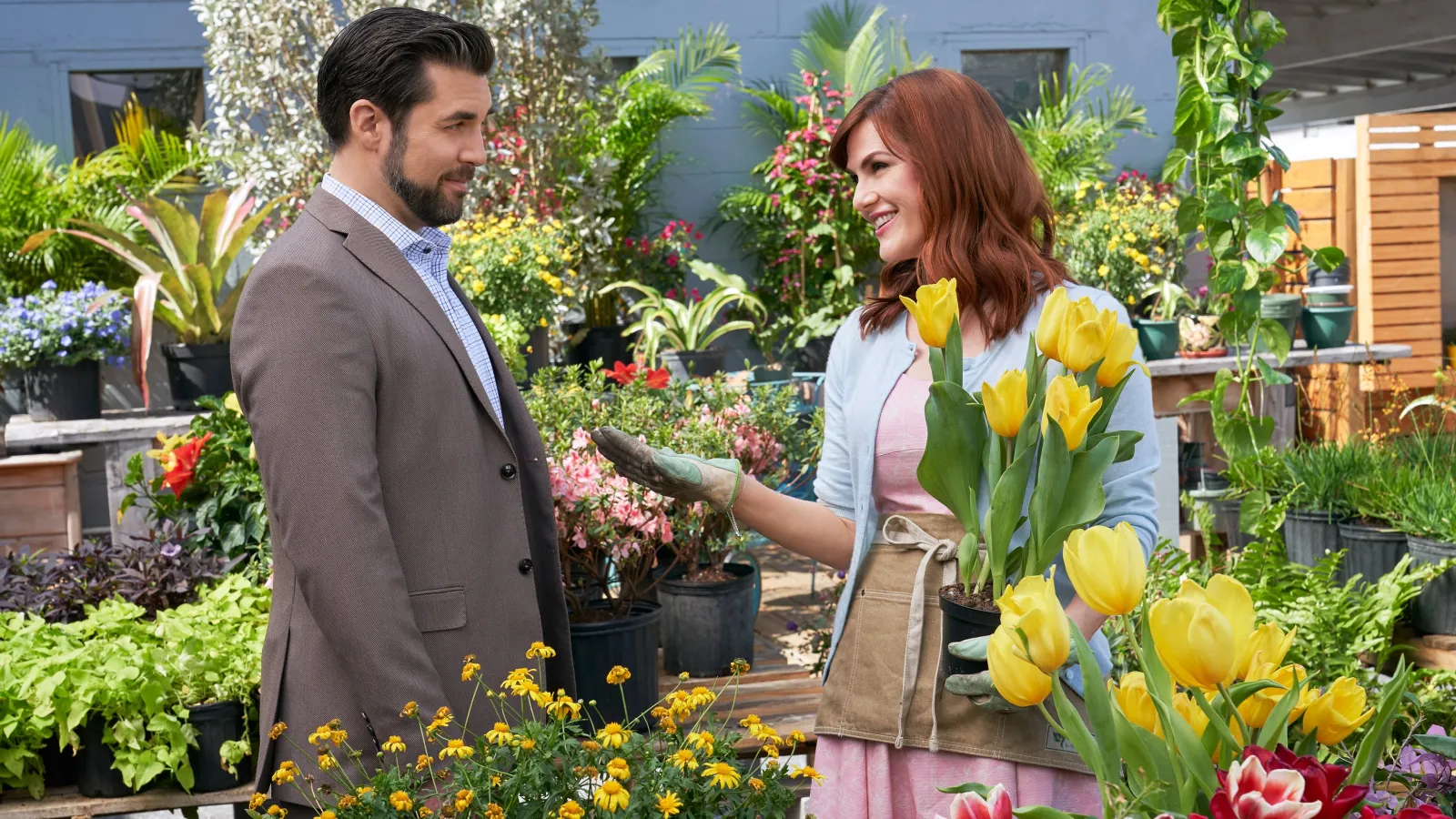 Amore in fiore streaming ita