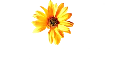 Hope Springs