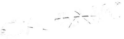 Crank