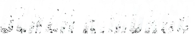 Senza rimorso