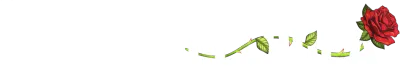 Haseen Dillruba