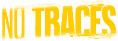 Nessuna traccia, o quasi