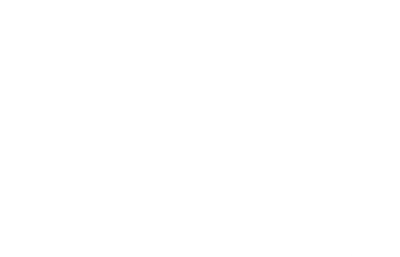 The Engineer