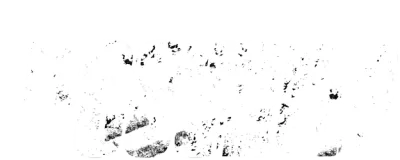 El correo