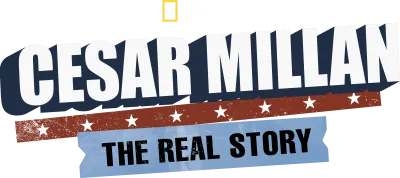 Cesar Millan: The Real Story