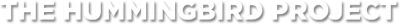 Operazione Hummingbirg - È tutto appeso a un filo streaming Operazione Hummingbirg - È tutto appeso a un filo
