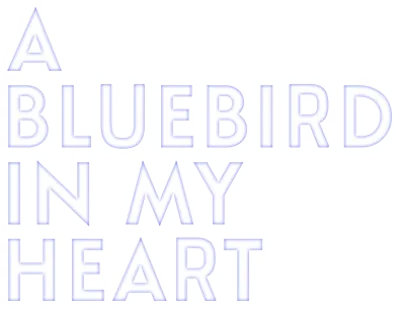 A Bluebird in My Heart streaming A Bluebird in My Heart